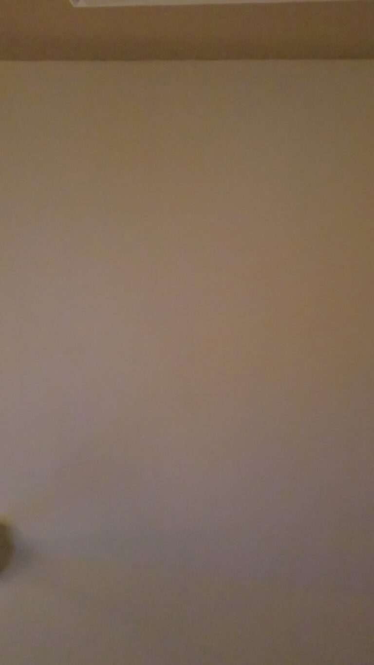 Sexy Wife Inch Bbc Dildo