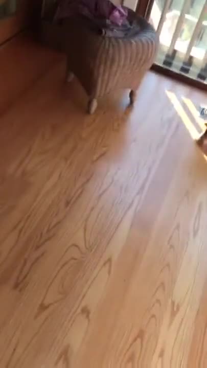 Knows How To Suck A Dick